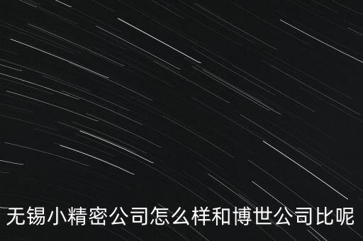 無(wú)錫小精密公司怎么樣和博世公司比呢