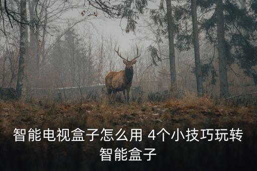 智能電視盒子怎么用 4個小技巧玩轉智能盒子