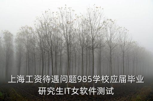 上海工資待遇問題985學校應(yīng)屆畢業(yè)研究生IT女軟件測試