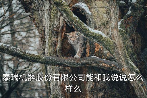 東莞泰瑞智能科技怎么樣，泰瑞機(jī)器制造公司待遇怎么樣