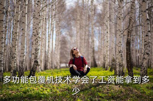 埃爾森智能科技年終獎(jiǎng)多少，世逸電子科技有限公司 待遇怎樣