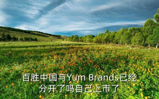百勝智能科技如何上市，百勝道閘是上市企業(yè)嗎質(zhì)量和性能方面怎么樣
