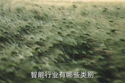 智能科技產(chǎn)業(yè)的分類(lèi)有哪些，智能行業(yè)有哪些類(lèi)別