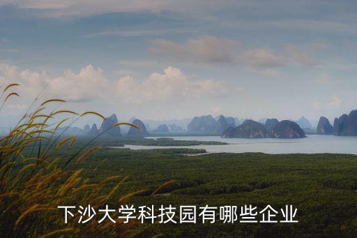 下沙有哪些智能科技企業(yè)，下沙大學(xué)科技園有哪些企業(yè)