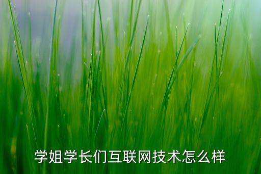 學(xué)姐學(xué)長們互聯(lián)網(wǎng)技術(shù)怎么樣