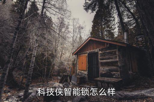 科技俠智能鎖怎么樣