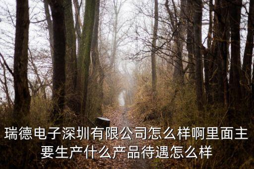 瑞德電子深圳有限公司怎么樣啊里面主要生產(chǎn)什么產(chǎn)品待遇怎么樣