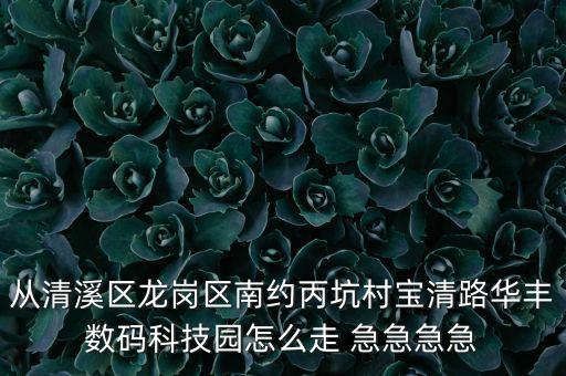 清溪智能科技園地址在哪里，清溪的電腦城在哪