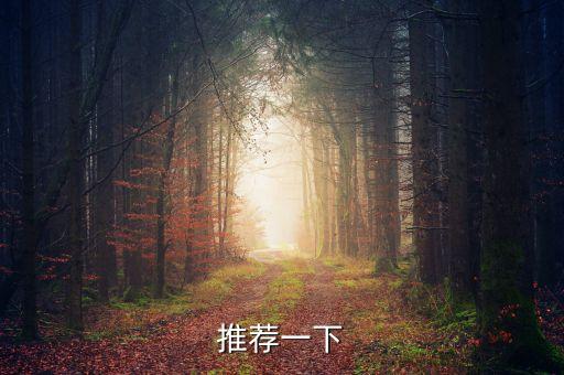 推薦一下