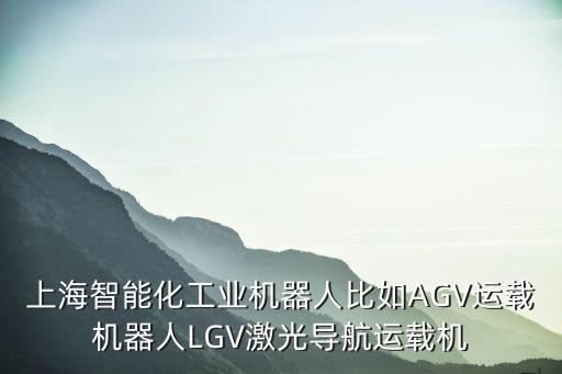 高科技智能化設備公司有哪些，上海智能化工業(yè)機器人比如AGV運載機器人LGV激光導航運載機