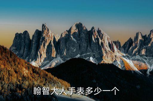 智能黑科技手表多少錢一臺(tái)，翰智大人手表多少一個(gè)