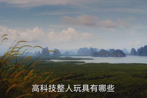 科技智能玩具有哪些，益智玩具有哪些