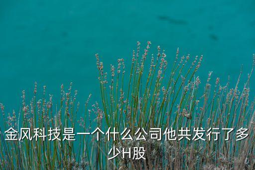 金風(fēng)科技是一個什么公司他共發(fā)行了多少H股