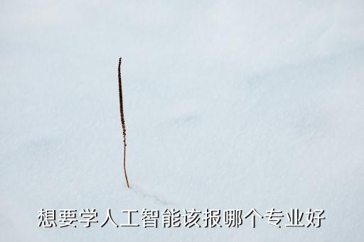 想要學(xué)人工智能該報(bào)哪個(gè)專業(yè)好