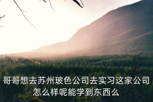 蘇州玻色智能科技怎么樣，蘇州玻色智能科技有限公司還招人么要求是不是會特別高