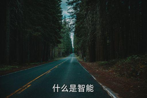 什么是智能