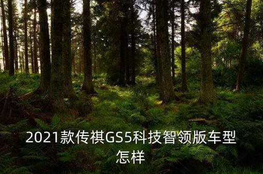 2021款傳祺GS5科技智領(lǐng)版車型怎樣