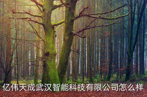 億智能科技怎么樣，億偉天成武漢智能科技有限公司怎么樣