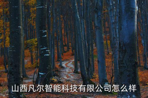 山西凡爾智能科技有限公司怎么樣