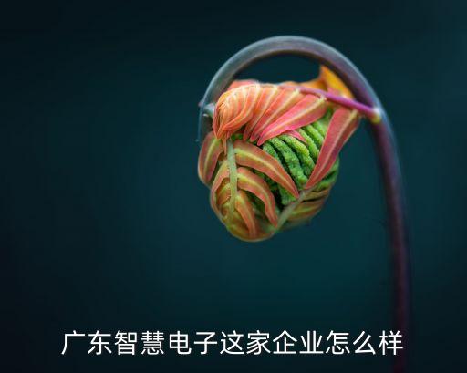 廣東智慧電子這家企業(yè)怎么樣