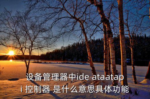 設(shè)備管理器中ide ataatapi 控制器 是什么意思具體功能