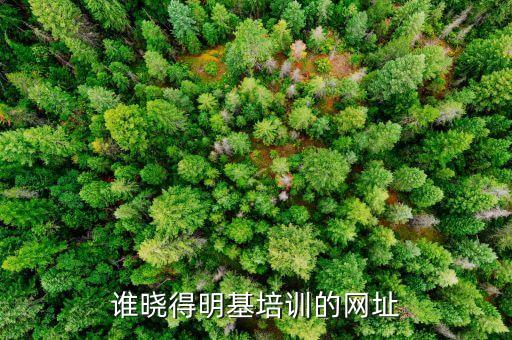 誰(shuí)曉得明基培訓(xùn)的網(wǎng)址