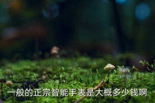 一般的正宗智能手表是大概多少錢啊
