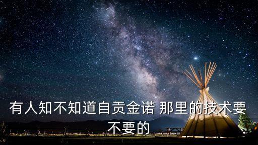 有人知不知道自貢金諾 那里的技術(shù)要不要的