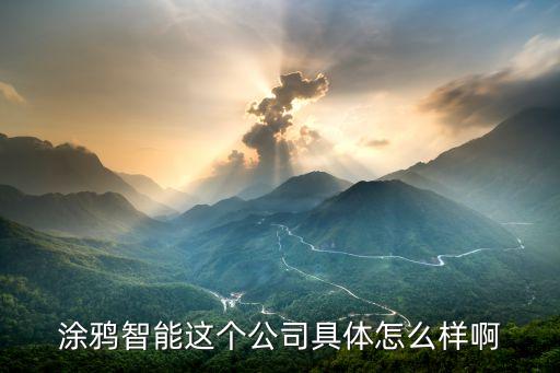 涂鴉智能這個(gè)公司具體怎么樣啊