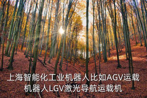 上海智能化工業(yè)機器人比如AGV運載機器人LGV激光導(dǎo)航運載機