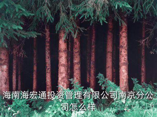 江蘇海宏智能科技怎么樣，江蘇海宏建設(shè)怎么樣