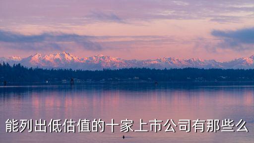 上海宏英智能科技估值多少，能列出低估值的十家上市公司有那些么