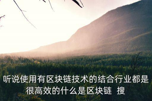 聽(tīng)說(shuō)使用有區(qū)塊鏈技術(shù)的結(jié)合行業(yè)都是很高效的什么是區(qū)塊鏈  搜