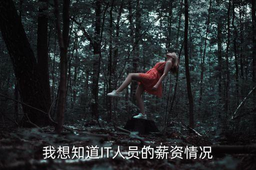 我想知道IT人員的薪資情況