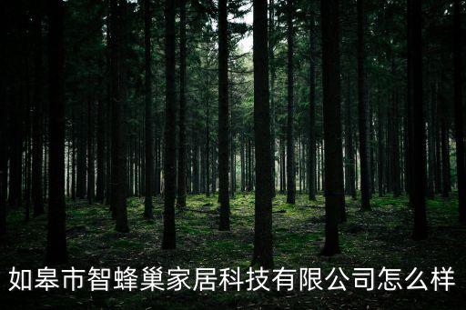 如皋市智蜂巢家居科技有限公司怎么樣