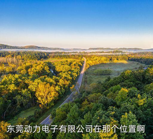 東莞動力電子有限公司在那個位置啊