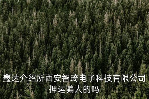 鑫達(dá)介紹所西安智琦電子科技有限公司押運(yùn)騙人的嗎