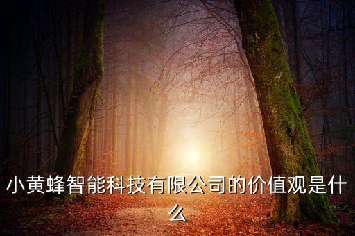 小黃蜂智能科技有限公司的價值觀是什么