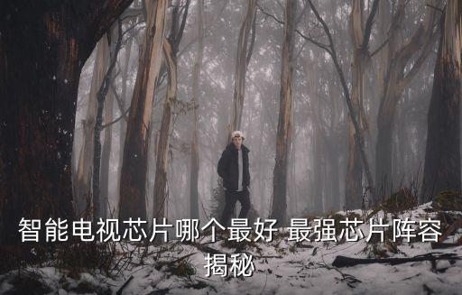 智能電視芯片哪個(gè)最好 最強(qiáng)芯片陣容揭秘