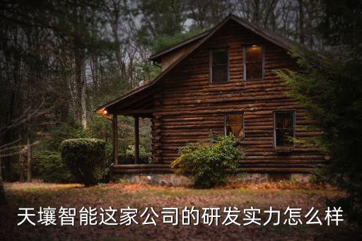天壤智能這家公司的研發(fā)實(shí)力怎么樣