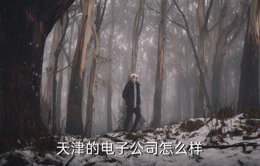 天津望圓智能科技怎么樣，天津望圓環(huán)?？萍加邢薰?面試難度 工資