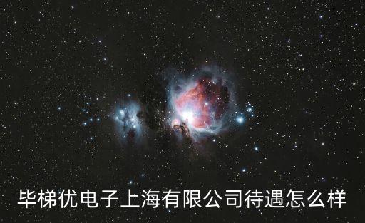 上海畢馬智能科技怎么樣，畢梯優(yōu)電子上海有限公司待遇怎么樣