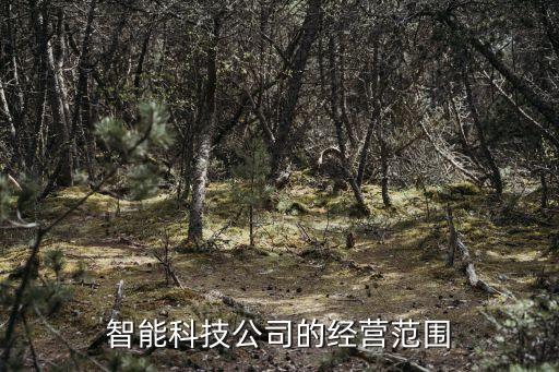 智能科技公司的經(jīng)營范圍