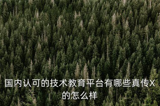 考涯智能教育科技怎么樣，國內(nèi)認可的技術(shù)教育平臺有哪些真?zhèn)鱔的怎么樣