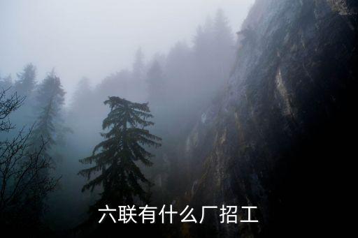 六聯(lián)有什么廠招工