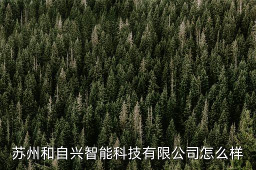 蘇州和自興智能科技有限公司怎么樣