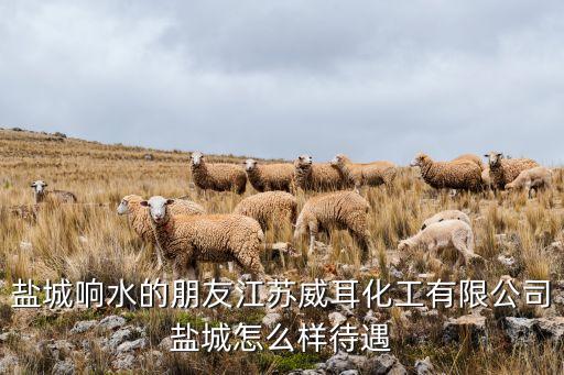 鹽城響水的朋友江蘇威耳化工有限公司鹽城怎么樣待遇