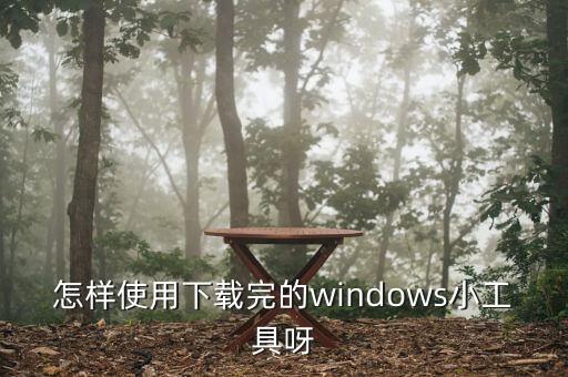 怎樣使用下載完的windows小工具呀