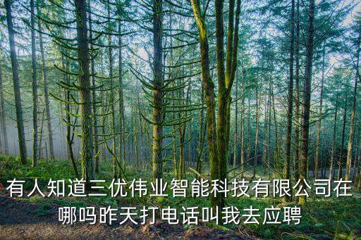 有人知道三優(yōu)偉業(yè)智能科技有限公司在哪嗎昨天打電話叫我去應(yīng)聘