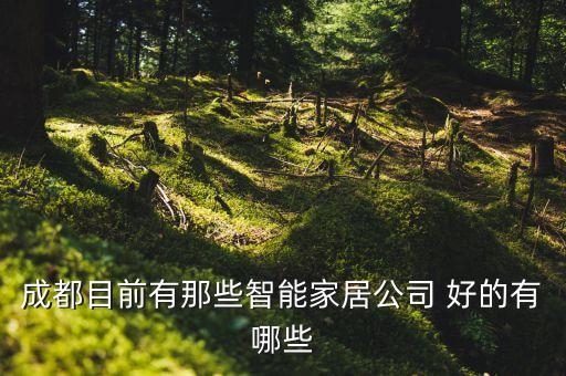成都有多少家智能科技公司，成都有哪些通信電子等IT行業(yè)的高科技公司能多推薦幾個嗎謝謝了